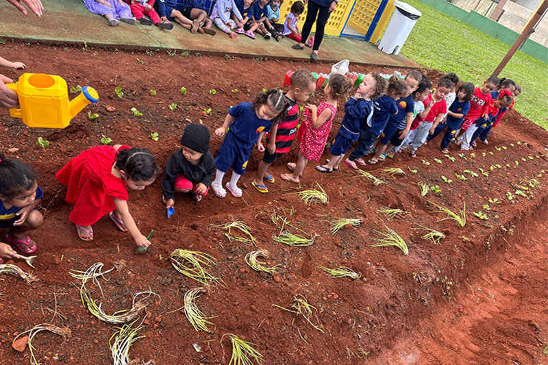 Projeto Horta – CEPI Angelins